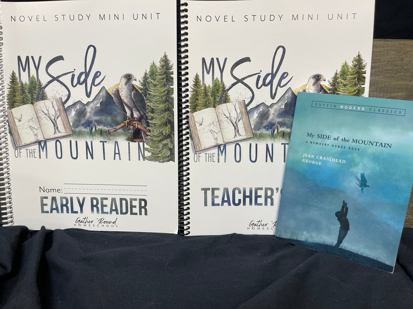 Novel Study Mini Unit My Side of the Mountain