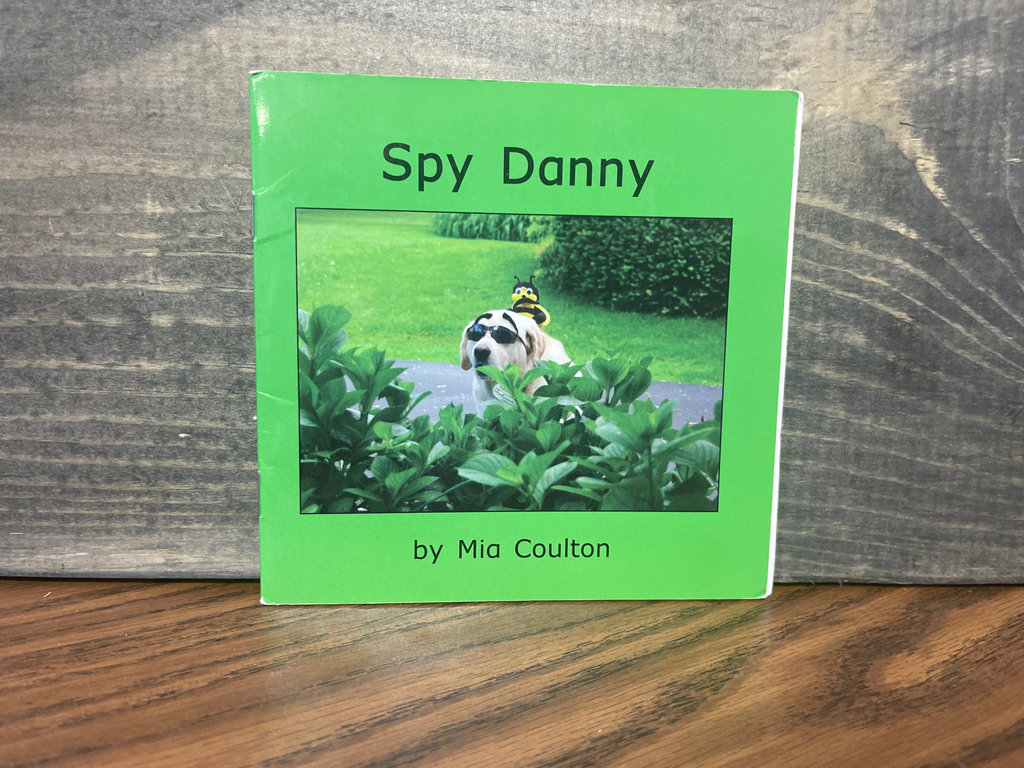 Spy Danny - Mia Coulton