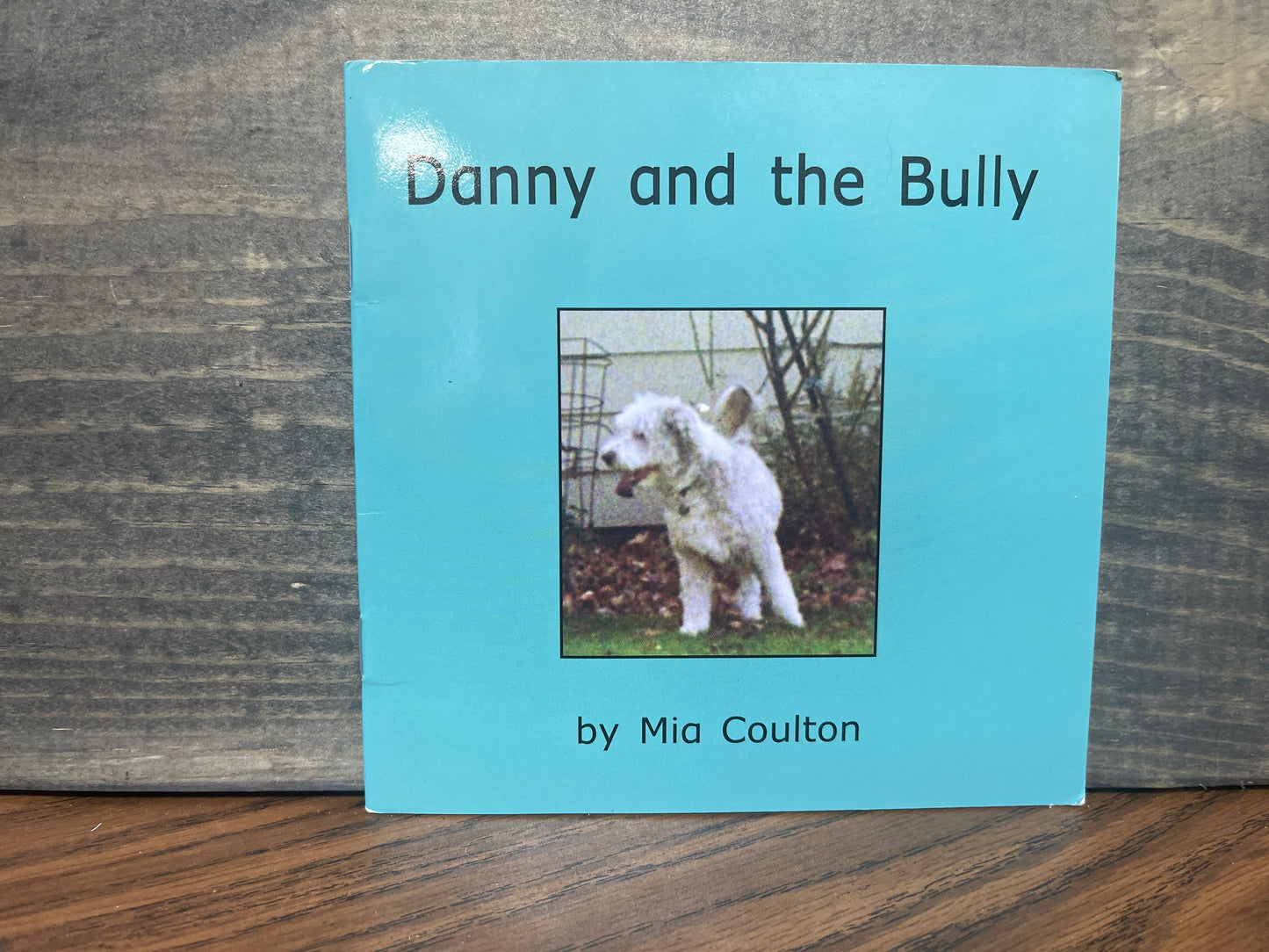 Danny and the Bully - Mia Coulton