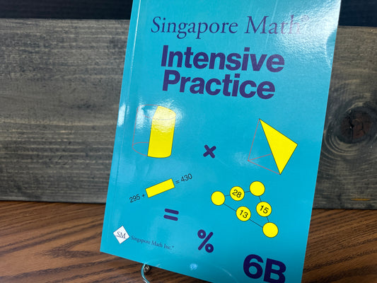 Singapore Math intensive practice 6B