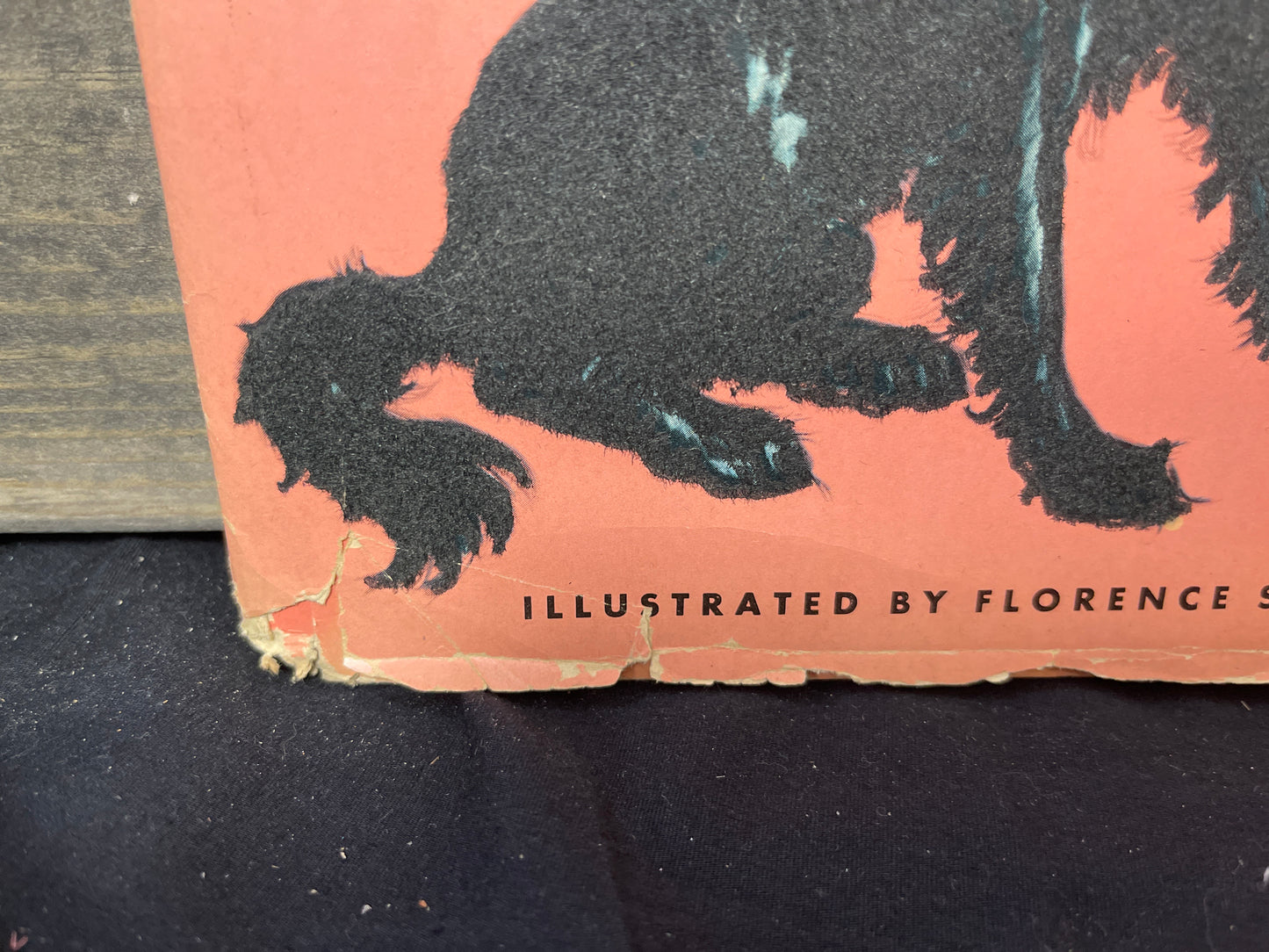 Woofus the woolly Dog, with dust jacket