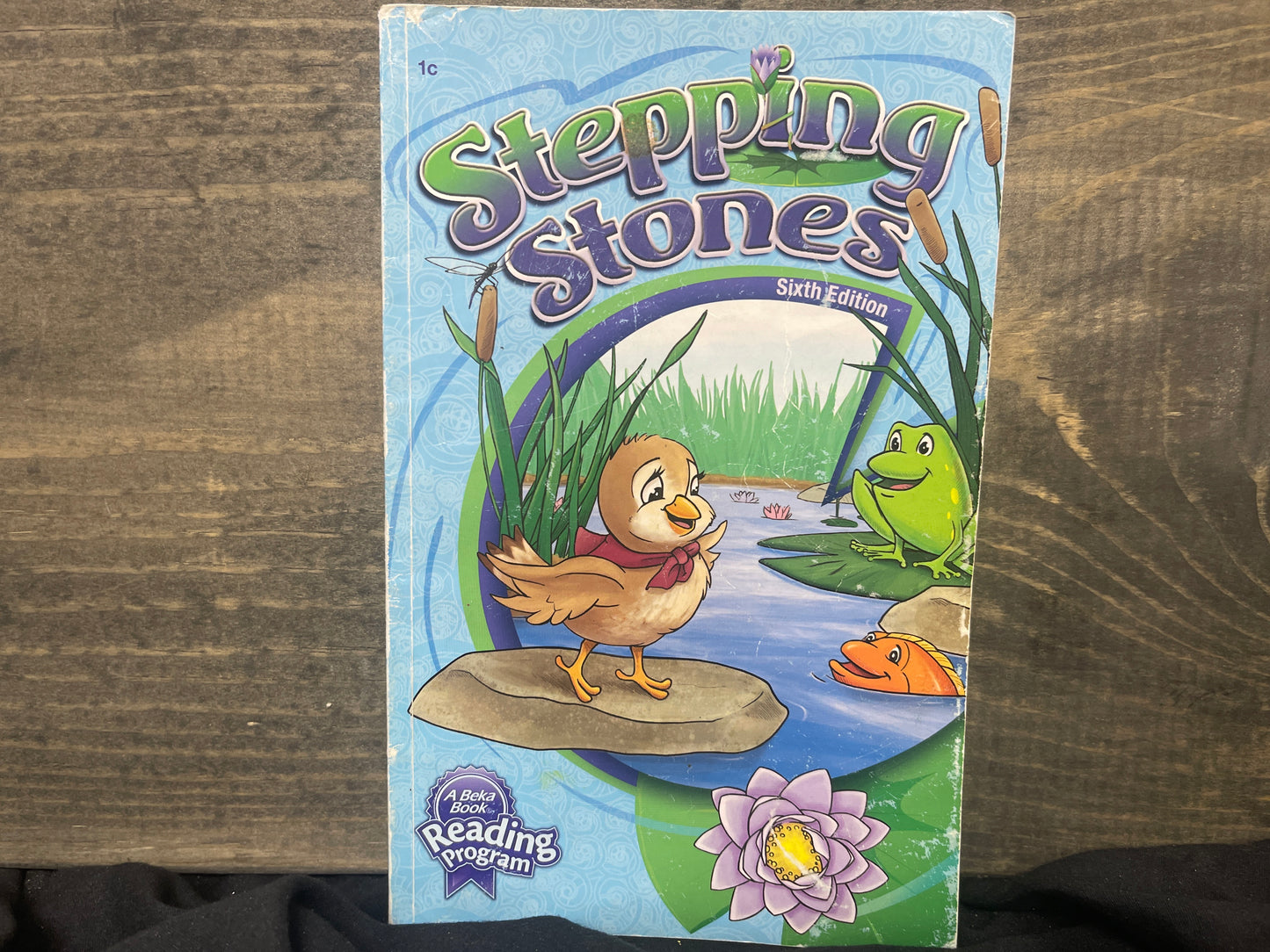 Stepping Stones sixth ed