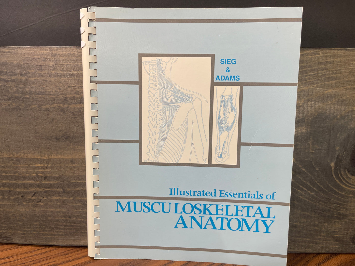 Illustrated Essentials of Musculoskeletal Anatomy