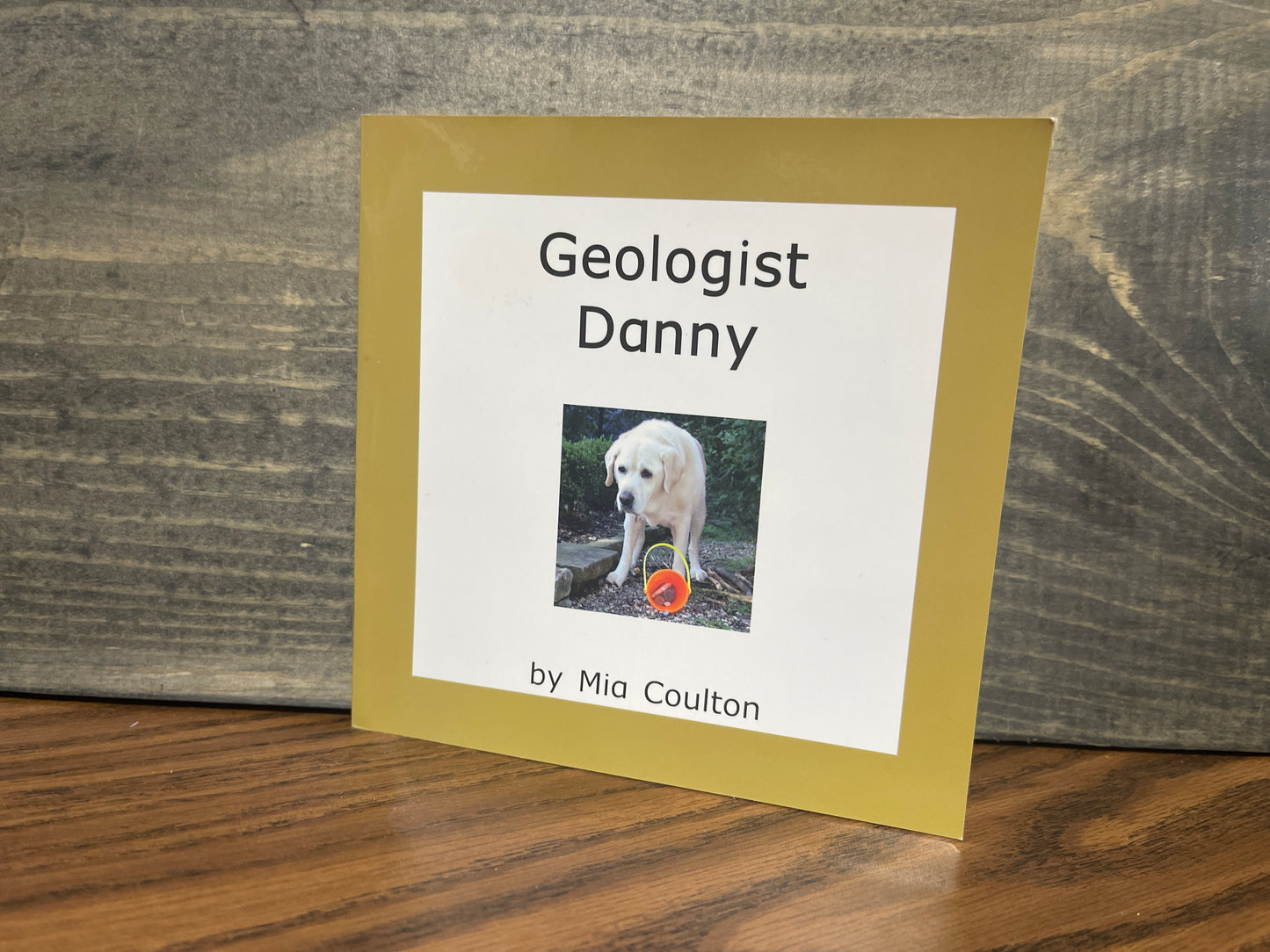Geologist Danny - Mia Coulton