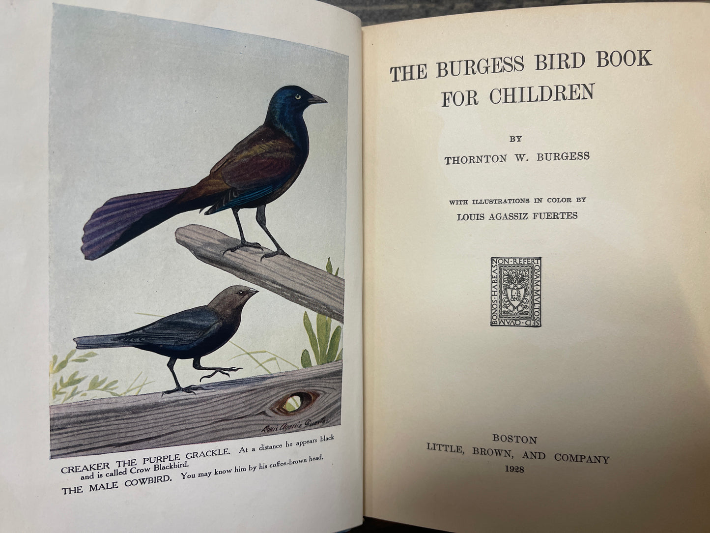 The Burgess Bird Book for Children – Thornton W. Burgess HC 1928