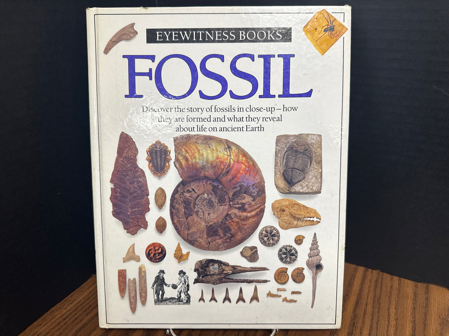 Fossil - Eyewitness Books