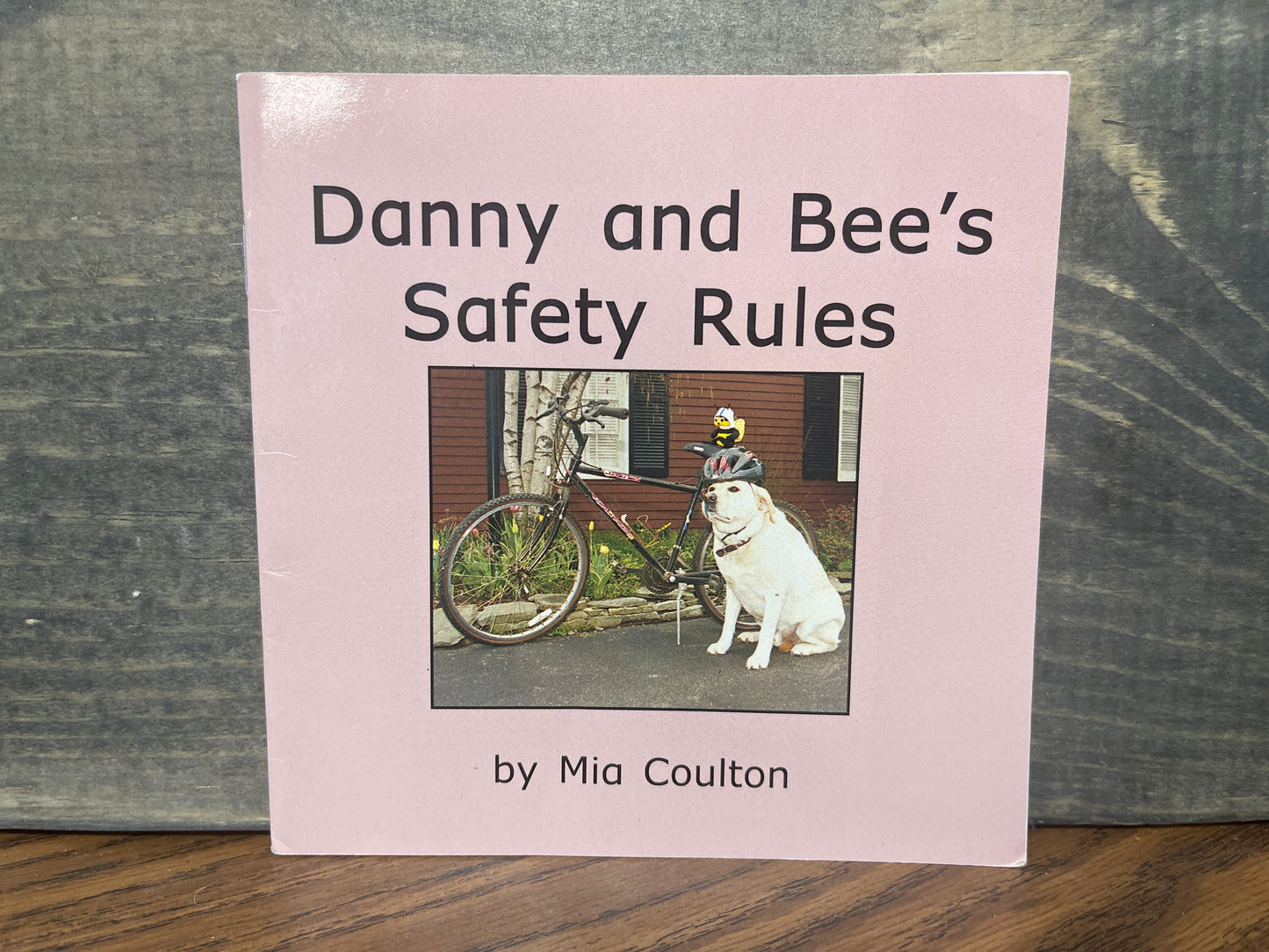 Danny and Bee's Safety Rules - Mia Coulton