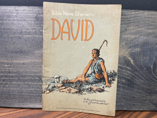 Bible Hero Stories - David