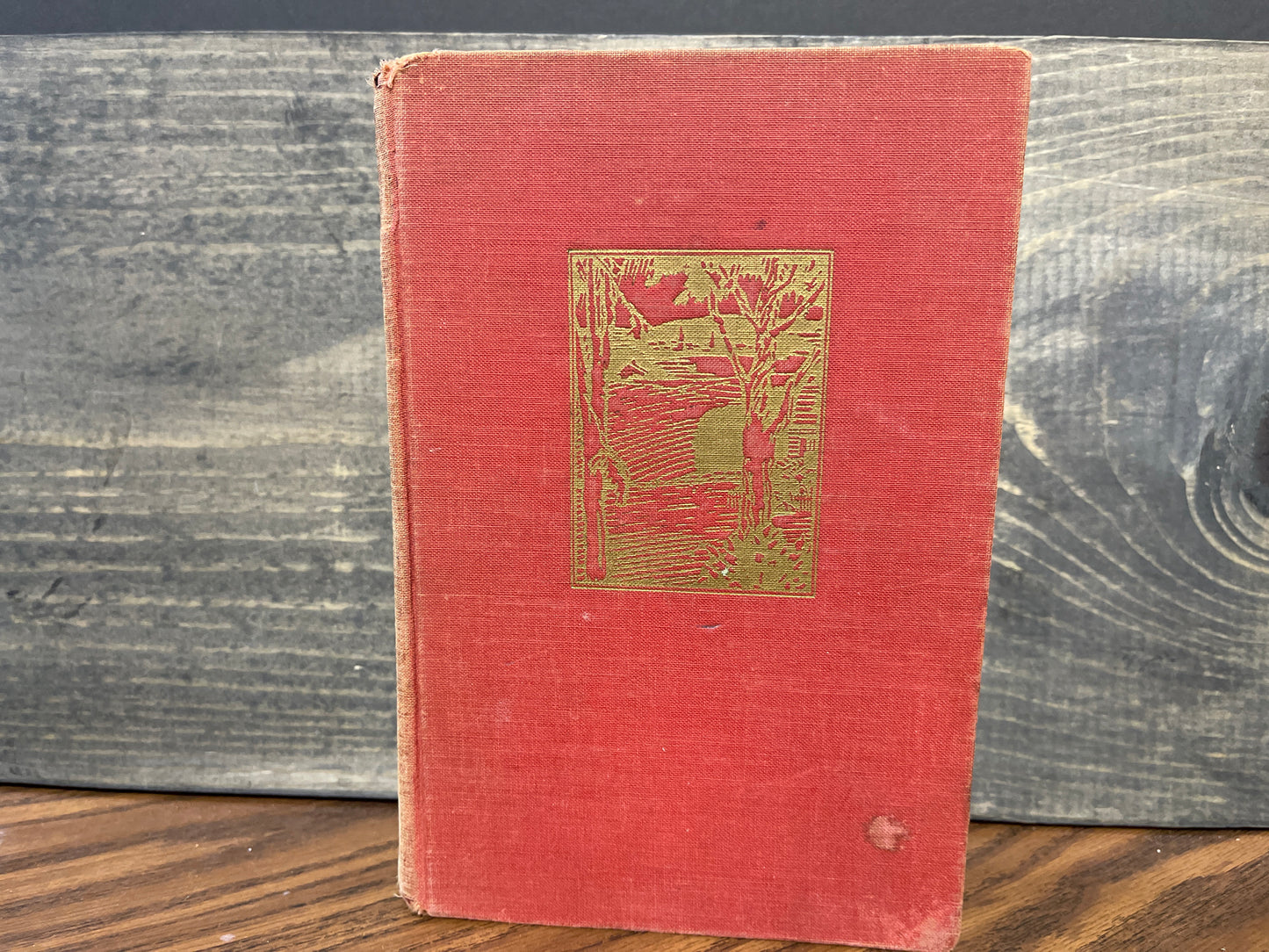 American Beauty - Edna Derber