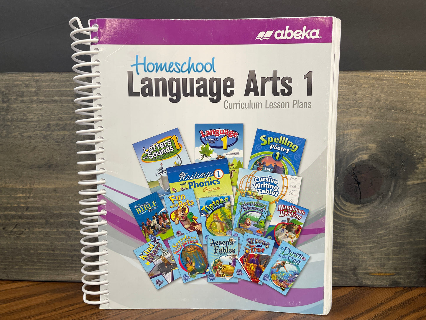 Language Arts 1 Curriculum Lesson Plans