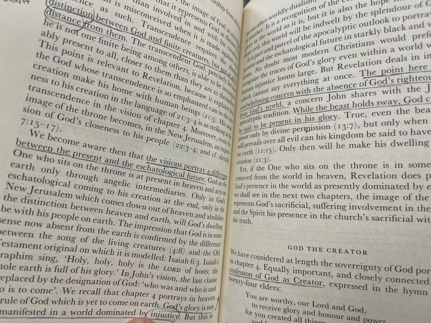 The Theology of the Book of Revelation *see description