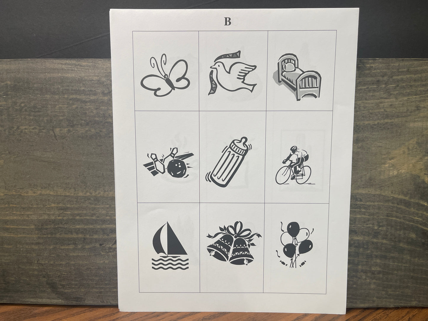Barton Reading & Spelling System Phonemic Awareness Level 1