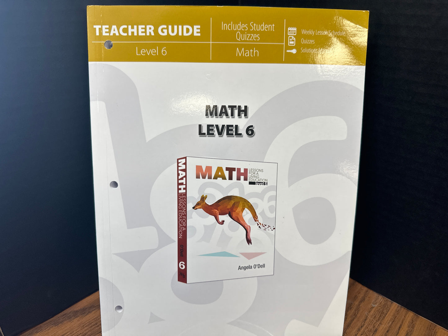 Math Lessons for a Living Education level 6 teacher