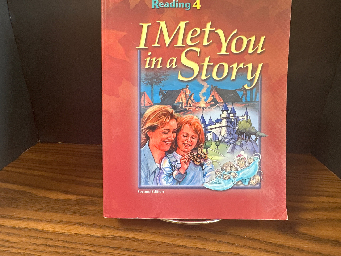 I Met You In A Story second ed student