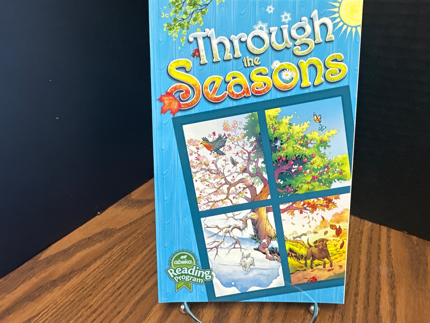 Through the Seasons