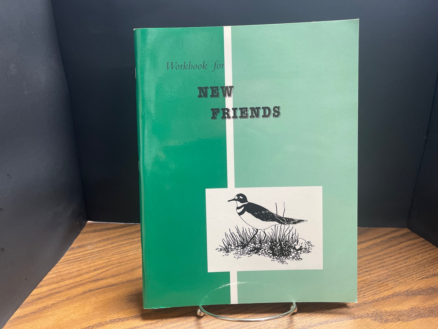 Workbook for New Friends