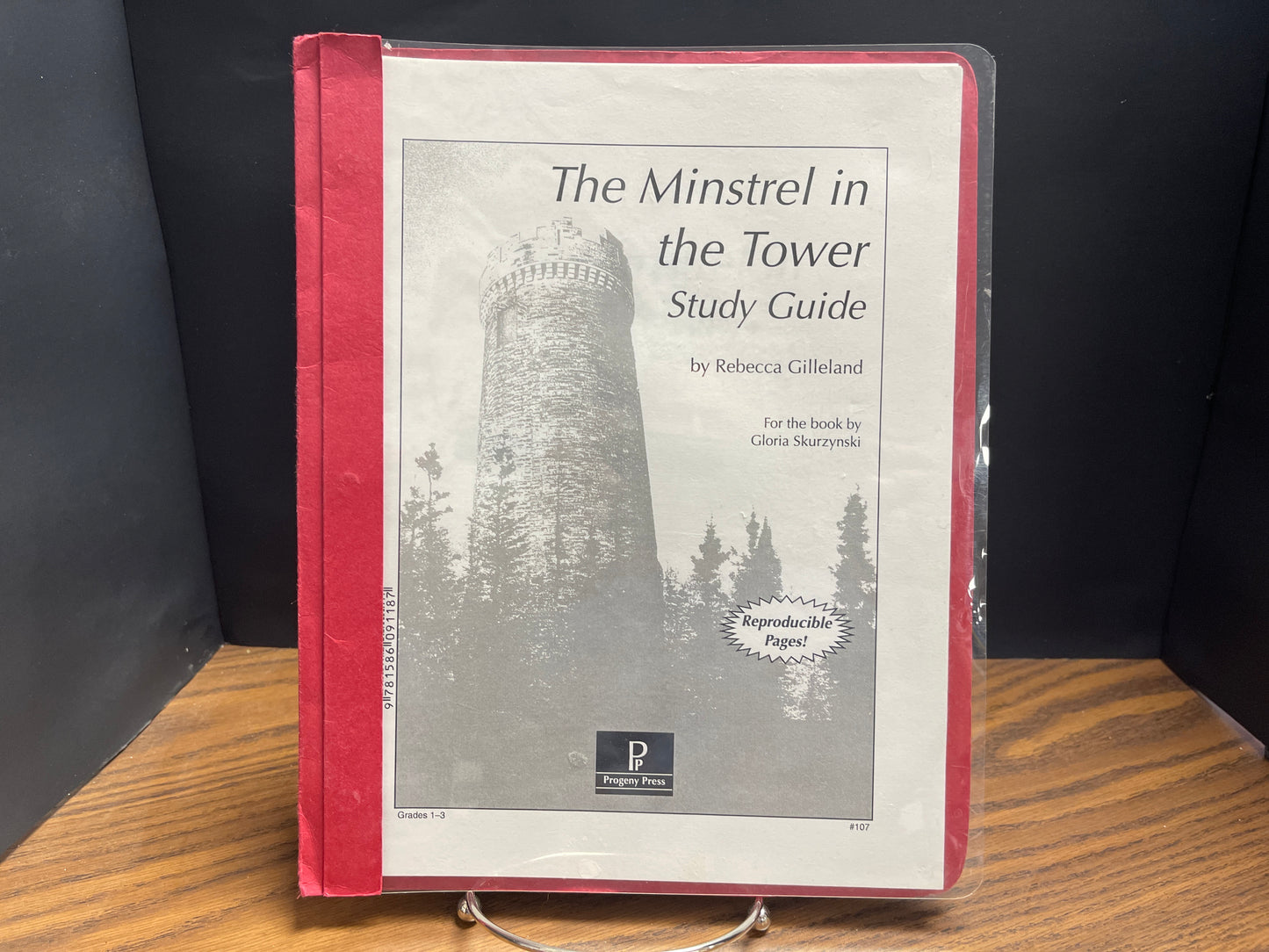 The Minstrel in the Tower Study Guide