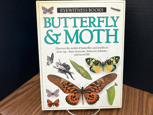 Eyewitness Books Butterfly & Moth