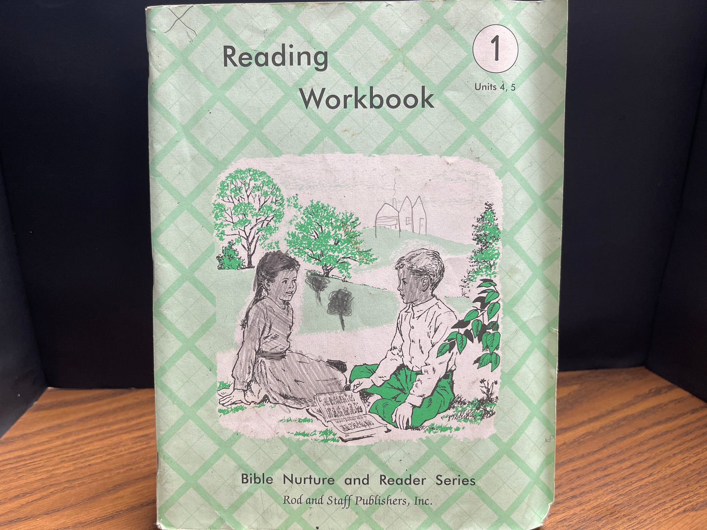 Reading Workbook units 4, 5