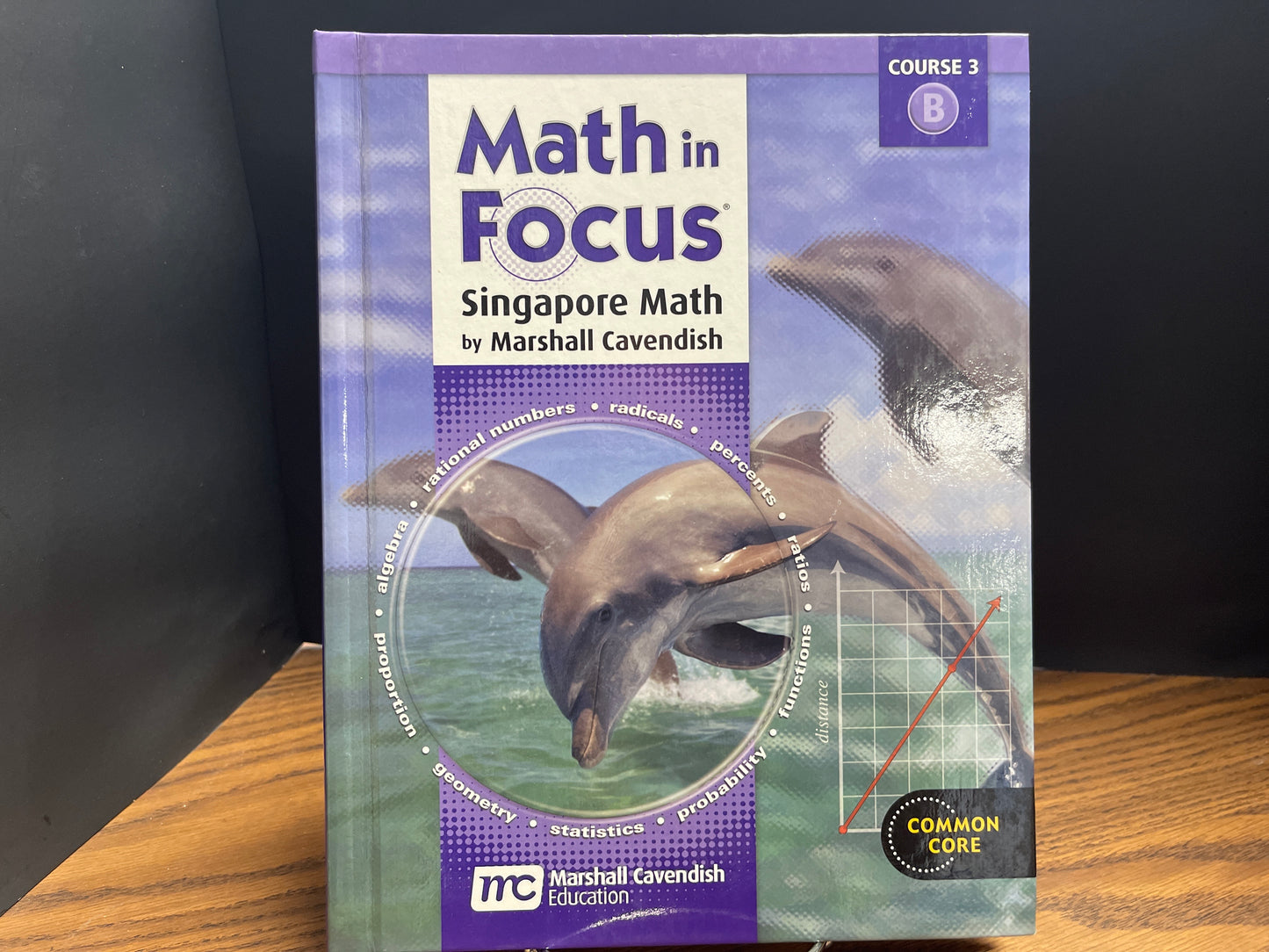 Math in Focus course 3 B