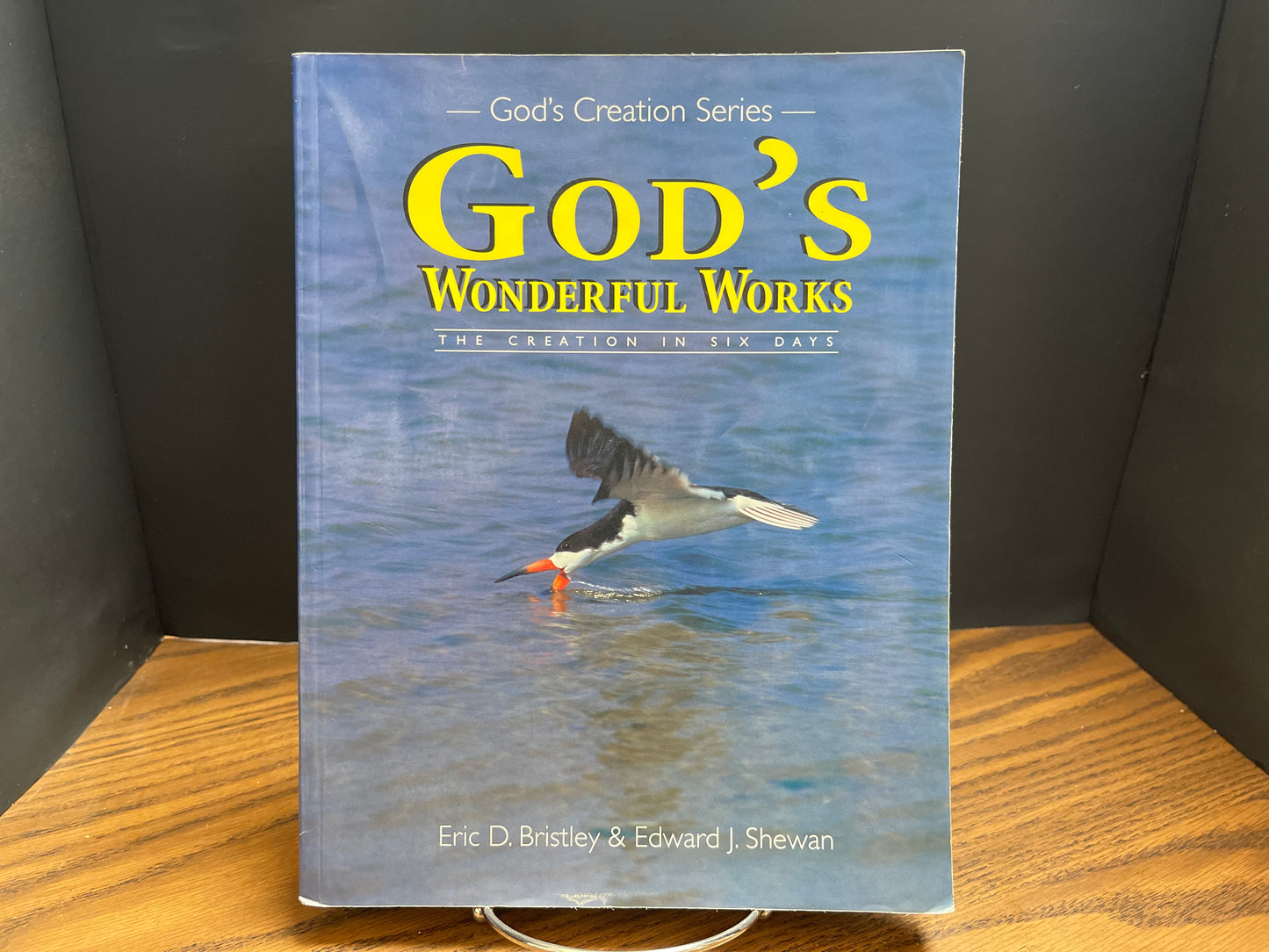 God's Wonderful Works