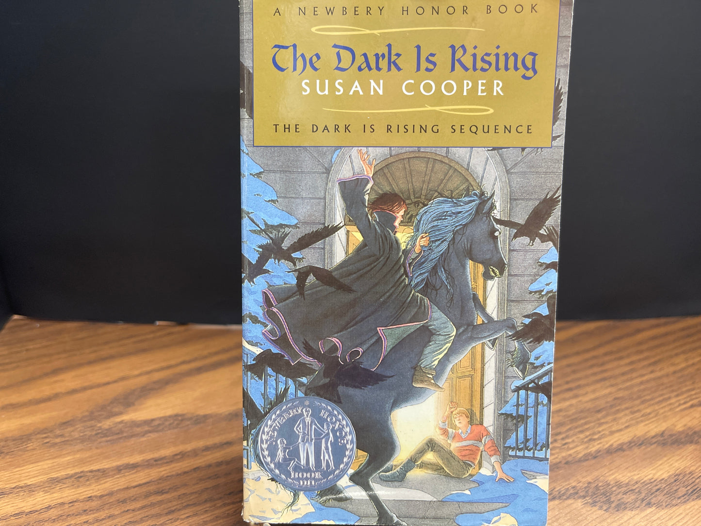 The Dark is Rising - Cooper