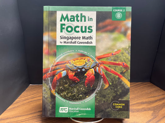 Math in Focus course 2 B