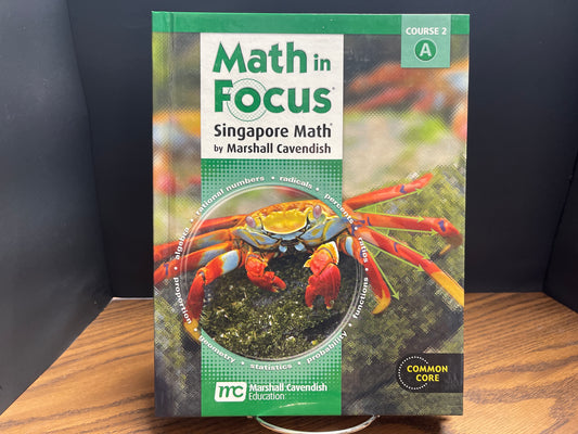 Math in Focus course 2 A